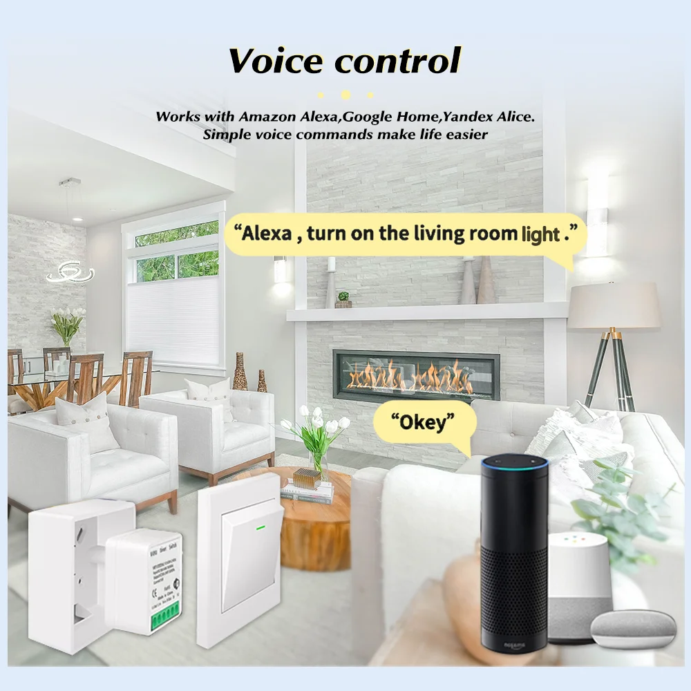 For Tuya Mini Smart WiFi Switc - огляд і ціна Smart Relay Tuya